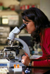 Bacteriology student Wendy Dingel working with a microscope in a science class lab.