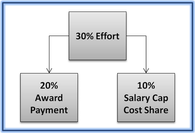 30% Effort = 20% Award Payment + 10% Salary Cap Cost Share