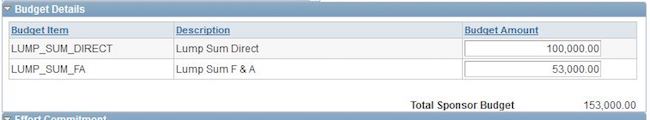 Projects Tab Budget Example
